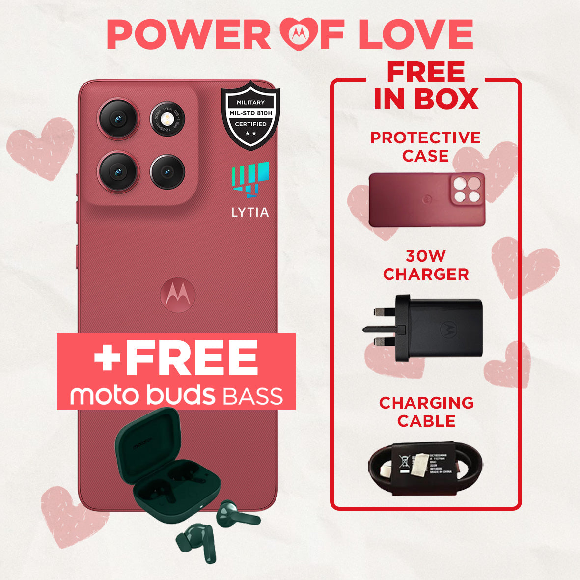 G86POWER - CHRYSANTHEMUM