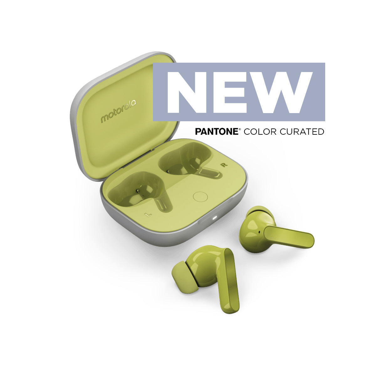 MOTOBUDS - KIWI GREEN