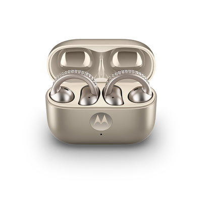 MOTOBUDS LOOP - FRENCH OAK (SWAROVSKI COLLECTION)
